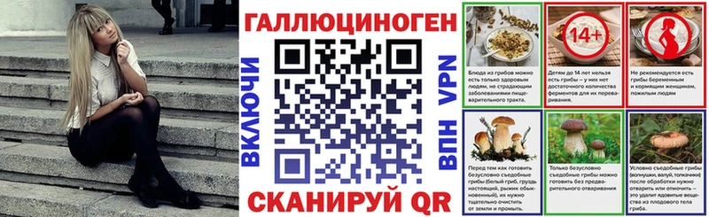 Псилоцибиновые грибы GOLDEN TEACHER  Купить  Белово 